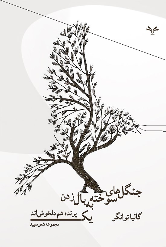 تصویر جلد کتاب جنگل های سوخته به بال زدن یک پرنده هم دلخوش اند