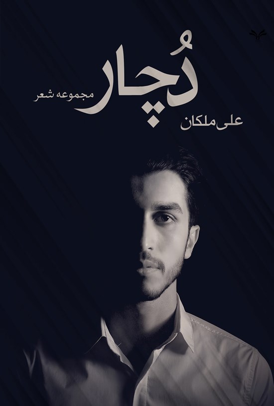تصویر جلد کتاب دچار