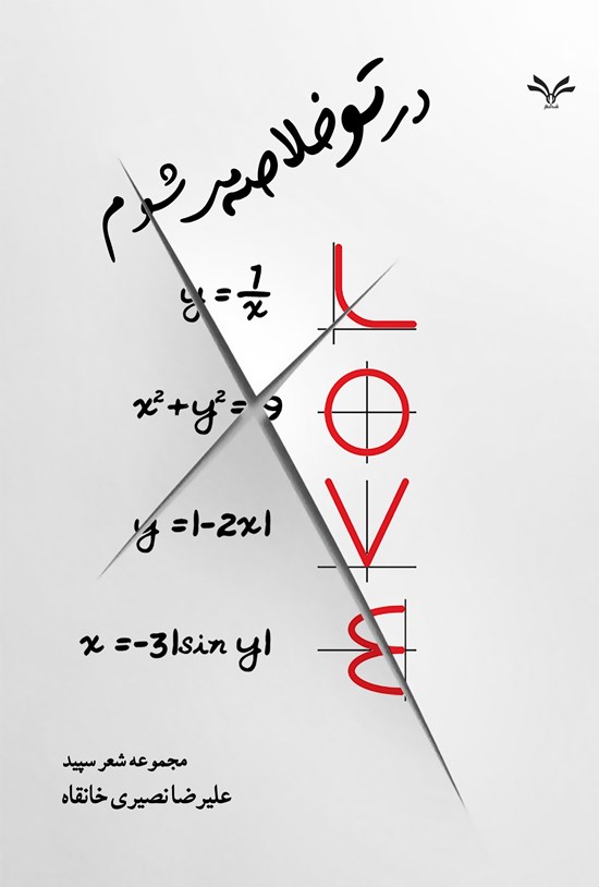 تصویر جلد کتاب در تو خلاصه می شوم