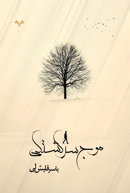 تصویر جلد کتاب موج سرگشتگی