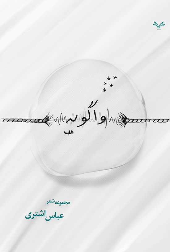 تصویر جلد کتاب واگویه