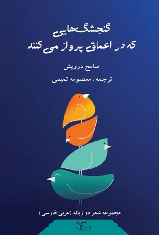 تصویر جلد کتاب گنجشک هایی که در اعماق پرواز می کنند