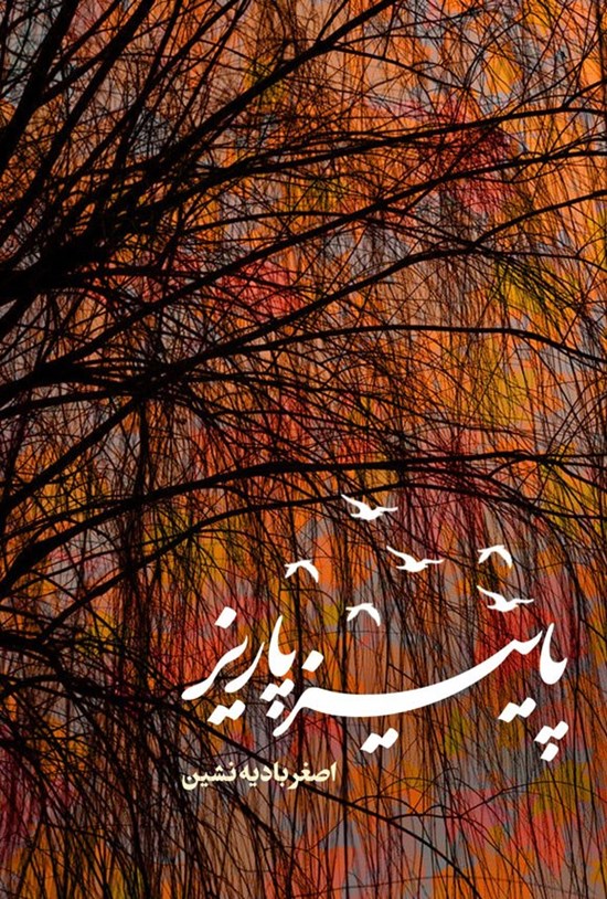 تصویر جلد کتاب پاییز پاریز