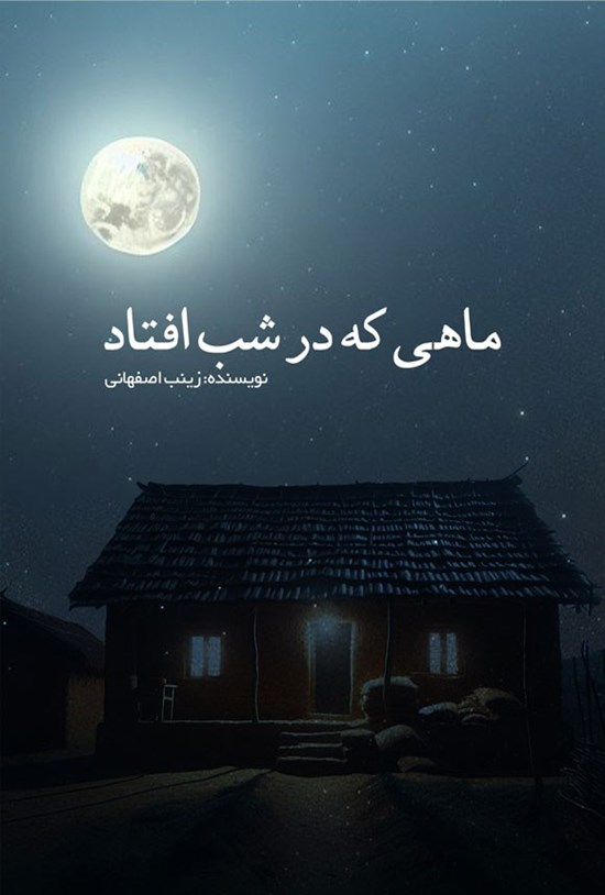تصویر جلد کتاب ماهی که در شب افتاد