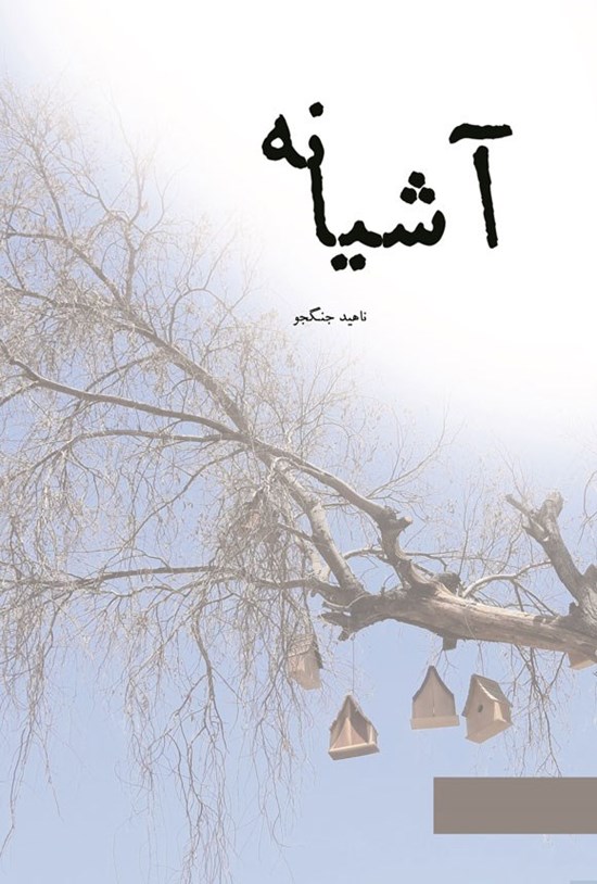 تصویر جلد کتاب آشیانه