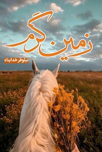 تصویر جلد کتاب زمین گرم