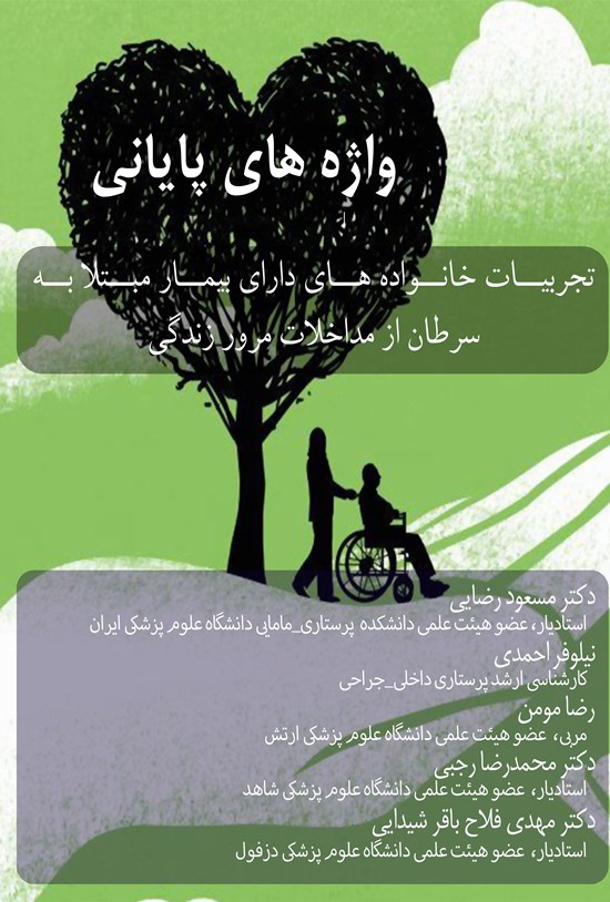 تصویر جلد کتاب واژه های پایانی