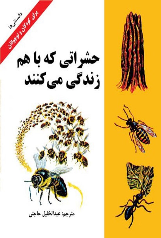 تصویر جلد کتاب حشراتی که با هم زندگی می کنند