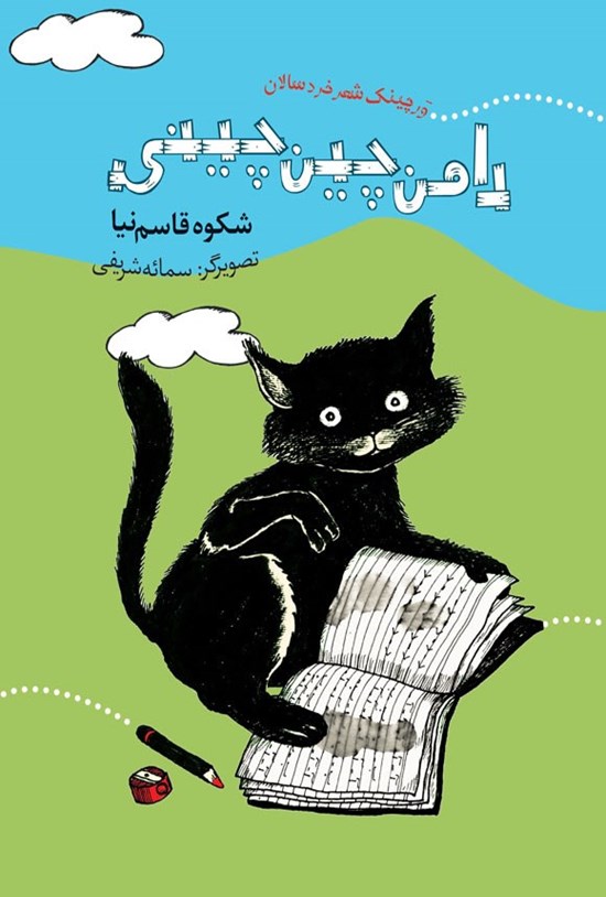تصویر جلد کتاب دامن چین چینی