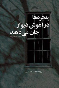 تصویر جلد کتاب پنجره ها در آغوش دیوار جان می دهند