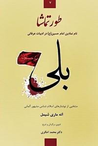 تصویر جلد کتاب طور تماشا، نام نمادین امام حسین (ع) در ادبیات عرفانی