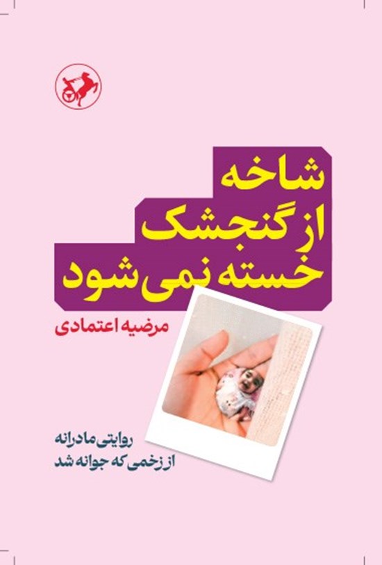 تصویر جلد کتاب شاخه از گنجشک خسته نمی شود
