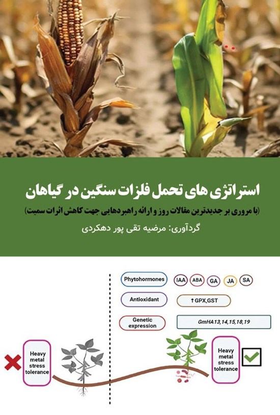 تصویر جلد کتاب استراتژی های تحمل فلزات سنگین در گیاهان