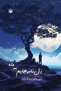 تصویر جلد کتاب دل نامه هایم به ماه