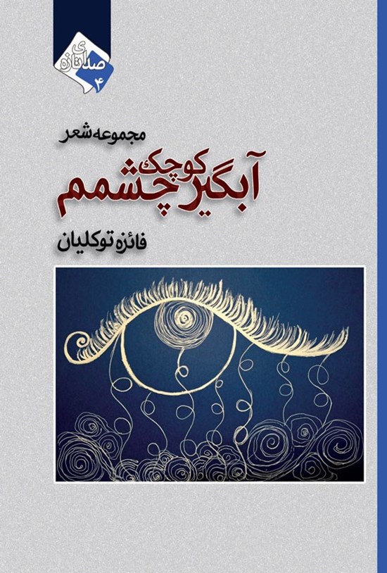 تصویر جلد کتاب آبگیر کوچک چشمم