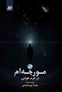 تصویر جلد کتاب من مورچه ام در هرم هوشی