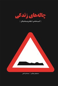 تصویر جلد کتاب بیست چالش در سبک زندگی