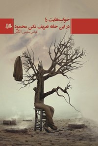 تصویر جلد کتاب خواب هایت را در این خانه تعریف نکن محمود