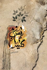 تصویر جلد کتاب ریش دراز و گیس دراز