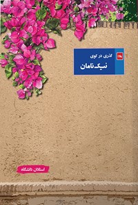 تصویر جلد کتاب گذری در کوی نیک نامان