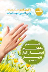 تصویر جلد کتاب دلبندم بیا با هم ابرها را کنار بزنیم (جلد دوم)