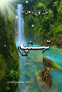 تصویر جلد کتاب تسنیم