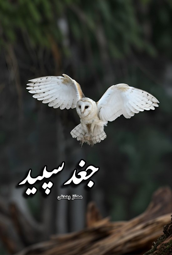 تصویر جلد کتاب جغد سپید