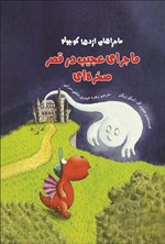 تصویر جلد کتاب ماجرای عجیب در قصر صخره ای