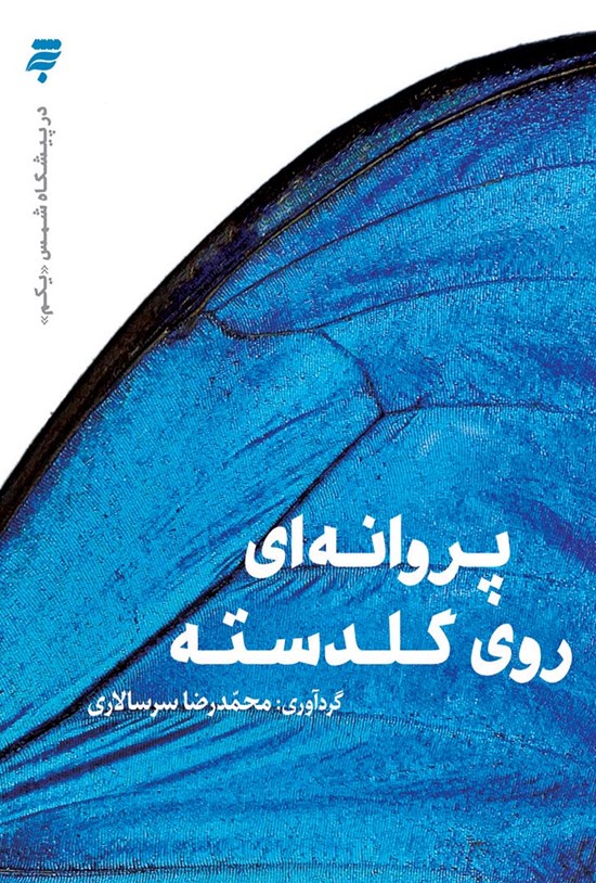تصویر جلد کتاب پروانهای روی گلدسته