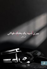 تصویر جلد کتاب چیزی شبیه یک بختک طولانی