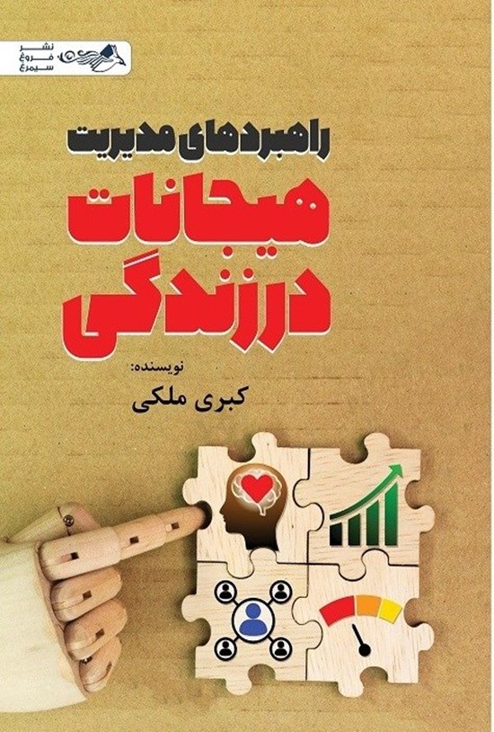 تصویر جلد کتاب راهبردهای مدیریت هیجانات در زندگی