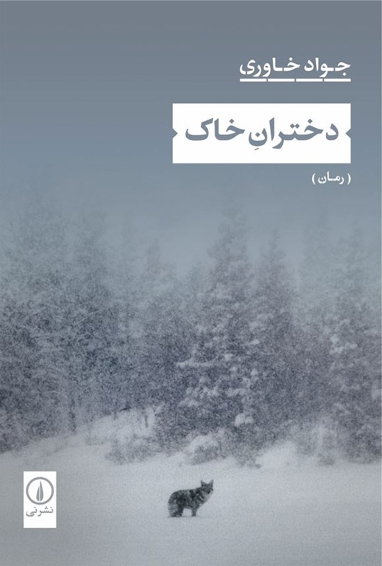 تصویر جلد کتاب دختران خاک