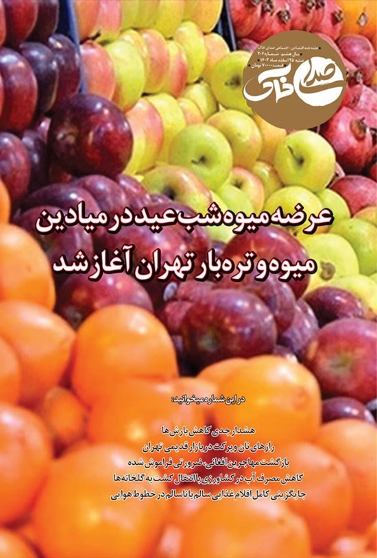 تصویر جلد کتاب هفته نامه صدای خاک ـ شماره ۲۰۶ ـ شنبه ۲۵ اسفندماه ۱۴۰۳