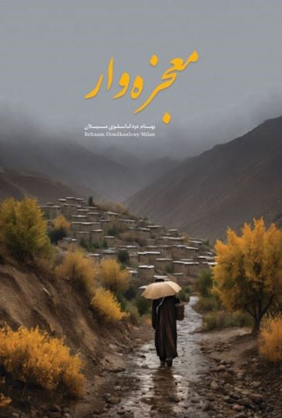 تصویر جلد کتاب معجزه وار