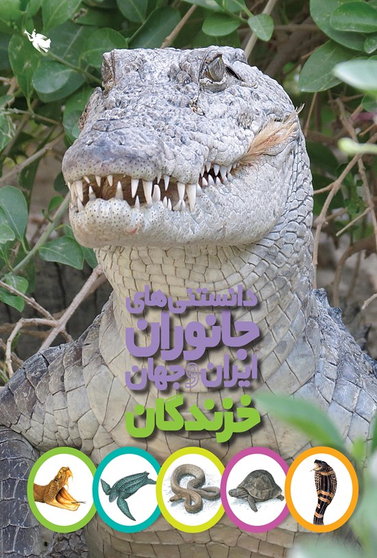 تصویر جلد کتاب خزندگان