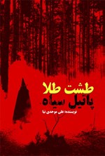 تصویر جلد کتاب طشت طلا، پاتیل سیاه