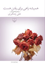 تصویر جلد کتاب همیشه راهی برای رفتن هست