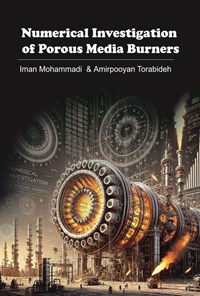 تصویر جلد کتاب Numerical Investigation of Porous Media Burners
