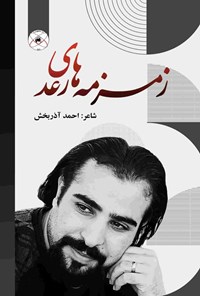 تصویر جلد کتاب زمزمه های رعد