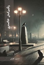 تصویر جلد کتاب رنگین کمان خاکستری