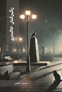 تصویر جلد کتاب رنگین کمان خاکستری