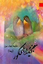 تصویر جلد کتاب معجزه دیدارهای کور