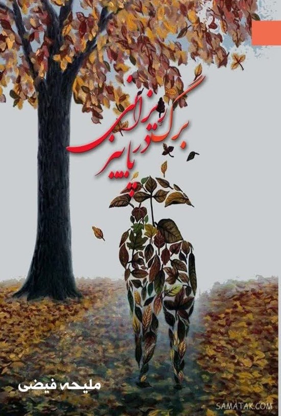تصویر جلد کتاب برگ ریزانی در پاییز