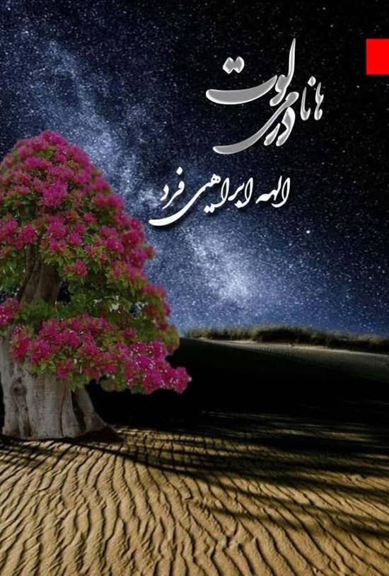 تصویر جلد کتاب هانامی در لوت