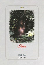 تصویر جلد کتاب مغاک