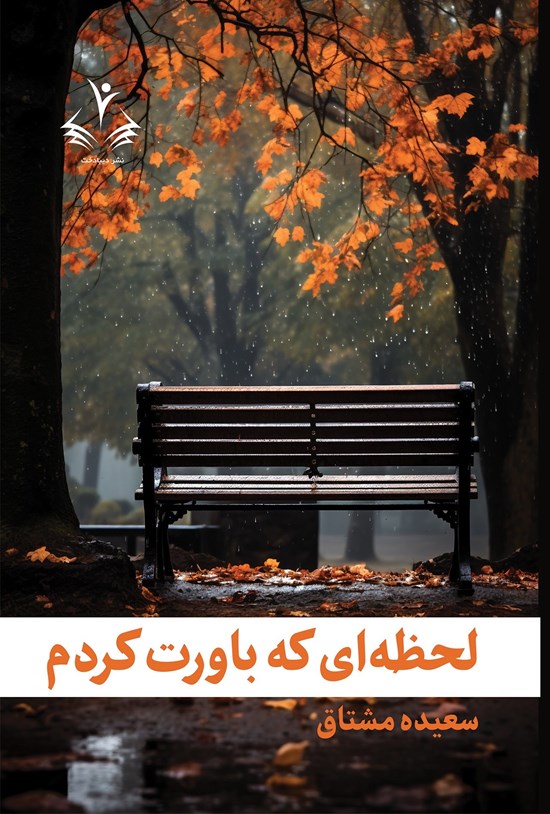 تصویر جلد کتاب لحظه ای که باورت کردم