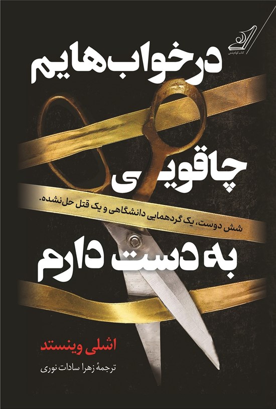تصویر جلد کتاب در خواب هایم چاقویی به دست دارم