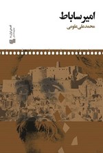 تصویر جلد کتاب امیر ساباط