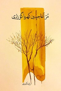 تصویر جلد کتاب مر آغاجینین کهربا گؤزلری