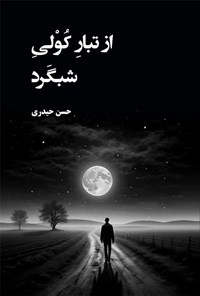 تصویر جلد کتاب از تبار کولی شبگرد